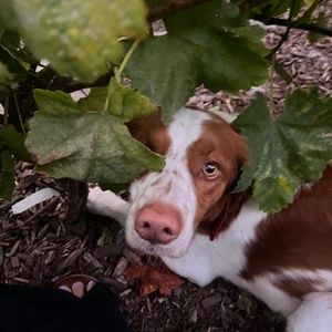 Meet your Posher, Dany